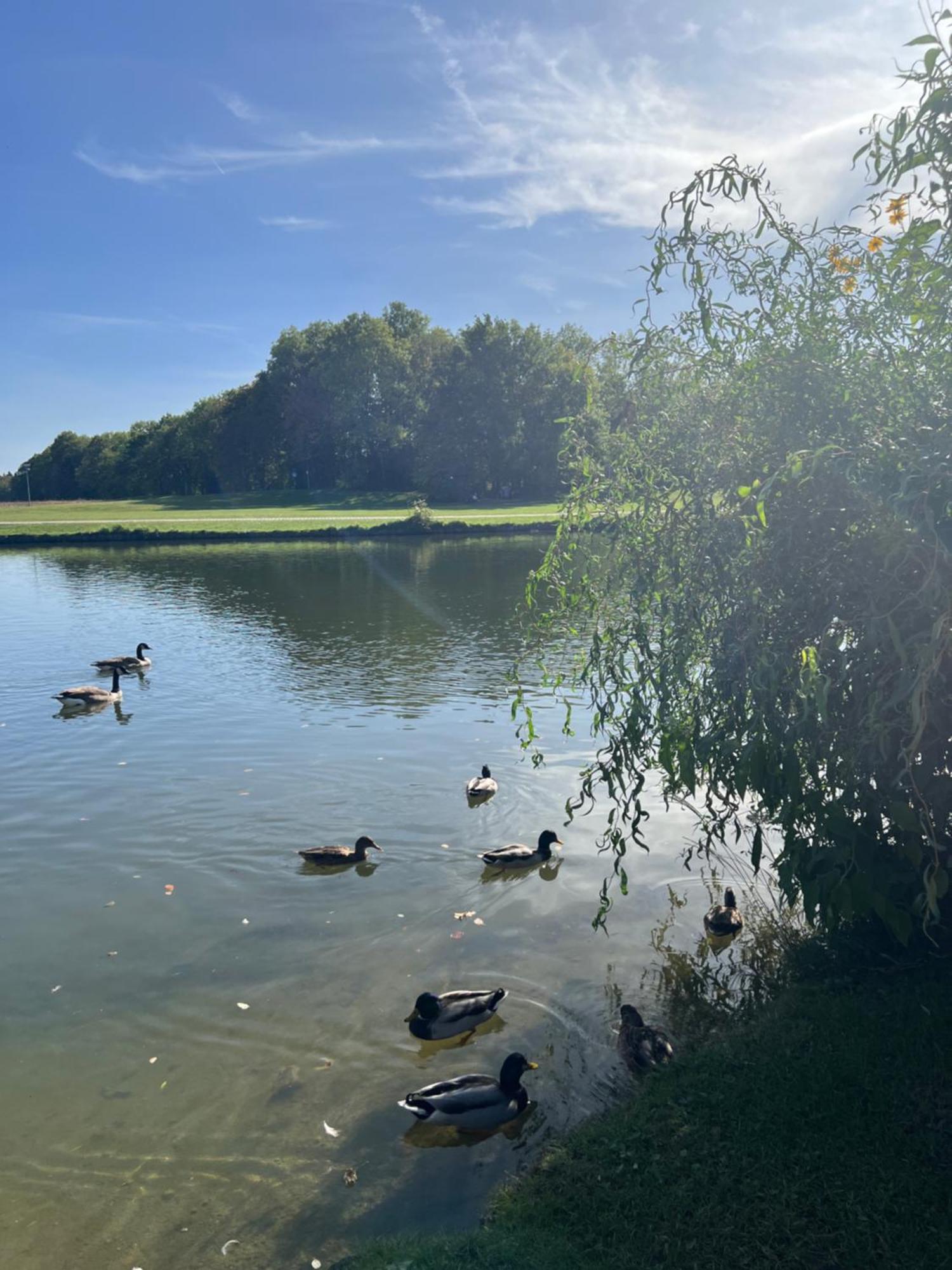 15 Qm Mit Gemeinschaftsbad * Múnich